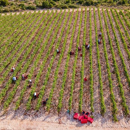 Slivno Ravno Winery Rizman B&B מראה חיצוני תמונה